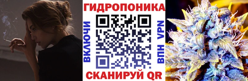 где продают   Железноводск  Каннабис ГИДРОПОН 